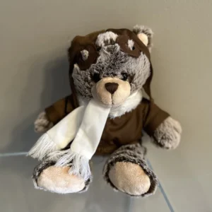 Pilot Bear