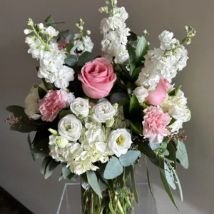 Blush & Beauty