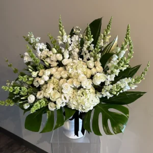 Morning Stars Arrangement