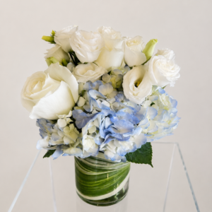 blue beauty